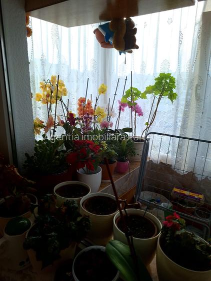 2 camere Prundu , Decomandat / Centrală , finisaje clasice / LOCUIBIL !!! - 8