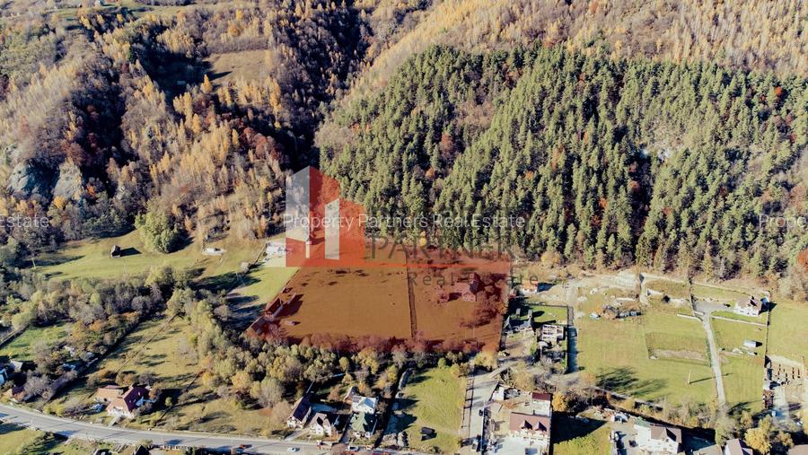 Teren Moieciu 8206 mp - Oportunitate de investitie - 2