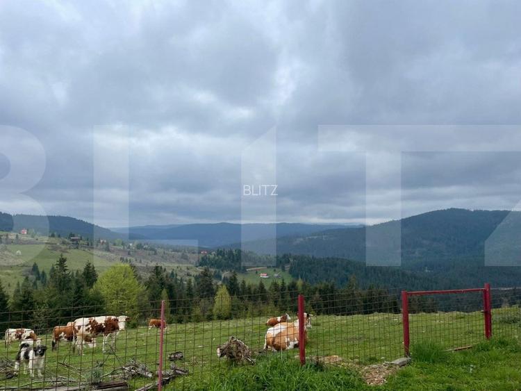 Ocazie! Casa de vacanta cu vedere la Lacul Belis - 6