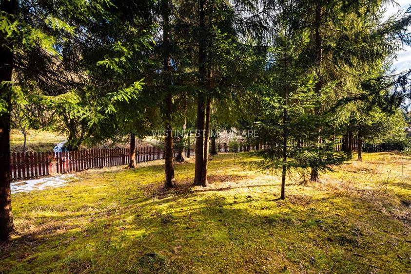 Cabane cu 10 camere Arieseni - 5