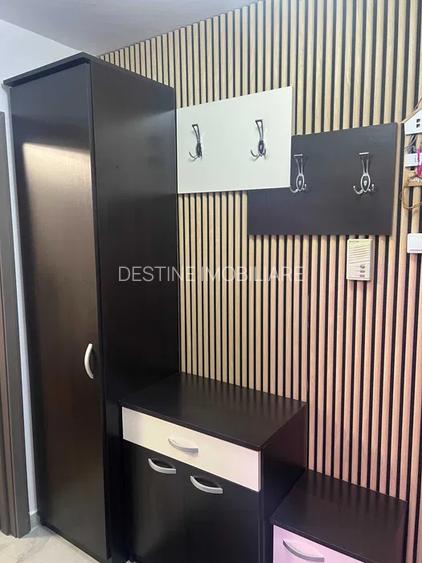 Apartament cu 2 camere, suprafata de 55 mp, str. Zizinului, zona Genemii - 4