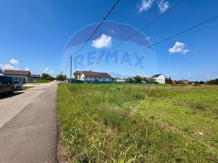 De vanzare Teren intravilan 1000 mp, langa padure, Moara Vlăsiei - 9