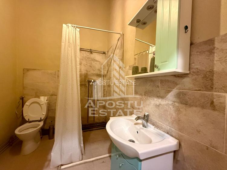 Apartament 2 camere de inchiriat, cu semineu, zona Traian Timisoara - 11