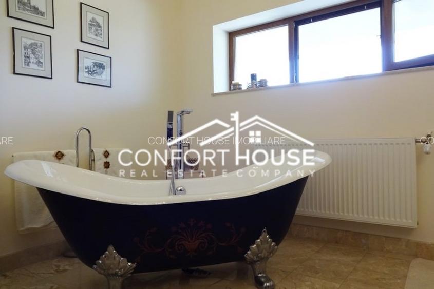 VILA SUPERBA IN IANCU NICOLAE - 14