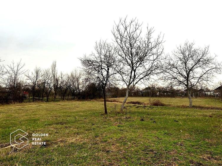 Teren intravilan, pretabil pentru constructie, 2880 mp, comuna Siria - 5