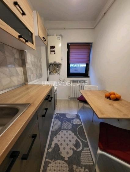 Apartament cu 1 camera - zona Tudor Vladimirescu - Iulius Mall - 2