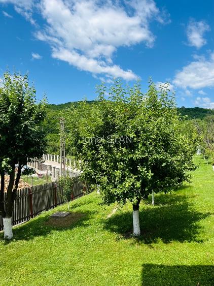 Vilă 4 camere cu teren 1.670 mp și livadă | Vălenii de Munte, Prahova - 6