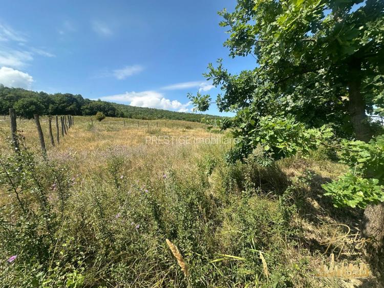 Teren intravilan de 576 mp de vanzare pe drumul DC59 , Haieu - Bihor - 3