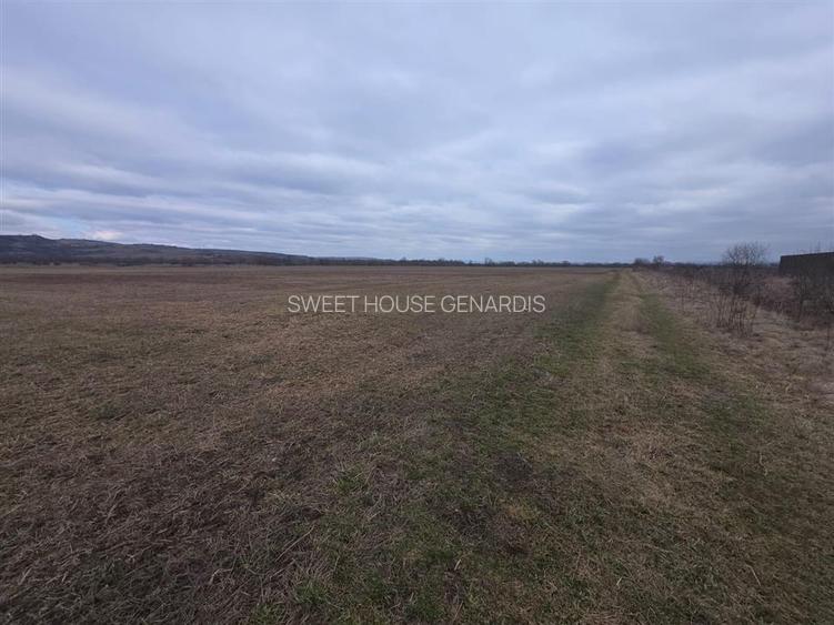 Teren intravilan industrial Fagaras - 2