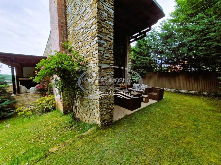 Casa deosebita in Faget - 2
