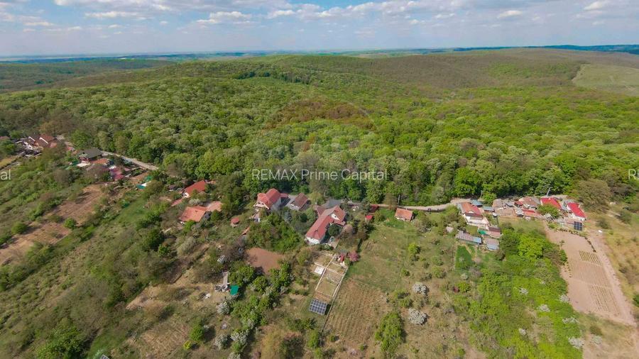 De vânzare casă și teren 1.425 mp - Podgoria - 13