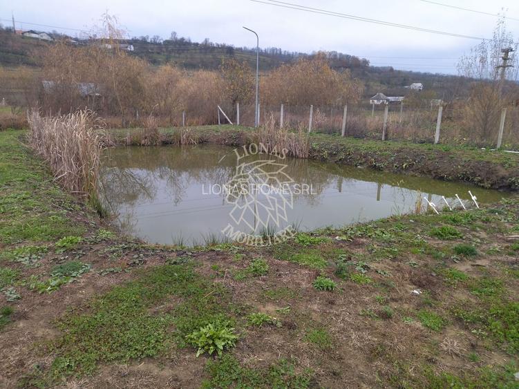 Casa de Lux 7 camere-270 mp-curte amenajata-teren 2312 mp-Salva - 9