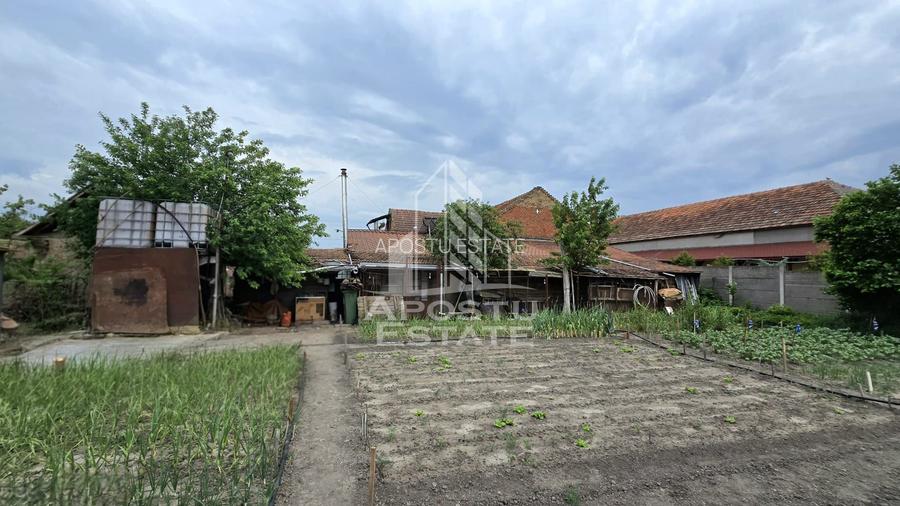 Casa Individuala Dragsina, Teren 2600 Mp - 24