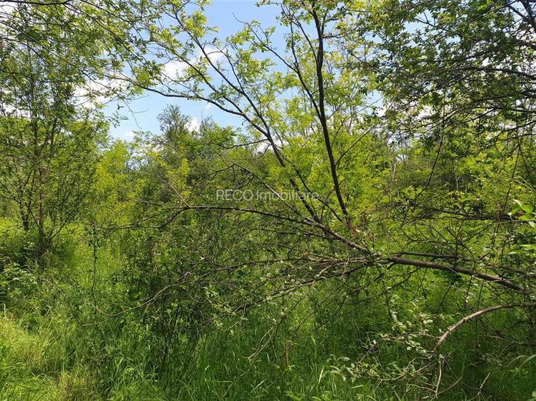 Teren extravilan Episcopia Bihorului - 2