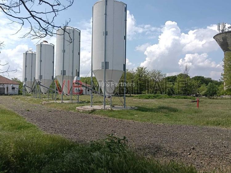 Ferma complet utilată – 30 ha teren comasat cu 11.500mp grajduri renovate Timiș - 5