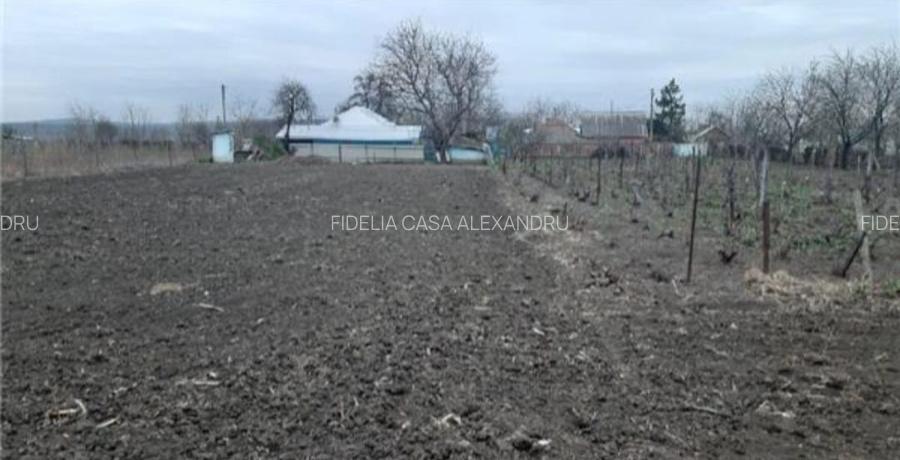 Teren pentru constructii case de vanzare Iasi Prisacani - 3