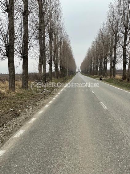 Teren extravilan 20.000mp, Miroslava, acces auto - 5