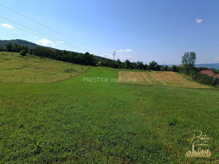 Teren extravilan 9093 mp de vanzare in Josani, com. Magesti - Bihor - 5