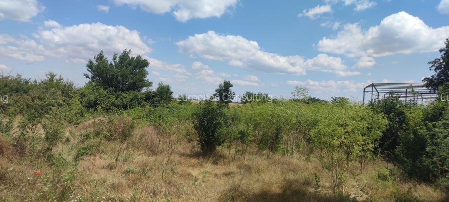 CLINCENI- COLECTORIL DE APA - 2