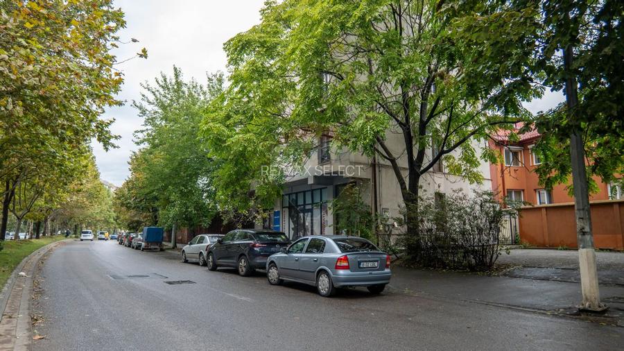 INVESTITIE - Vanzare vilă spatioasa cu S+P+2E+M, zona Doamna Ghica - 44