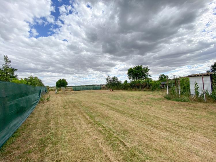 Teren intravilan 1412 mp, Ciofliceni – Ilfov - 5