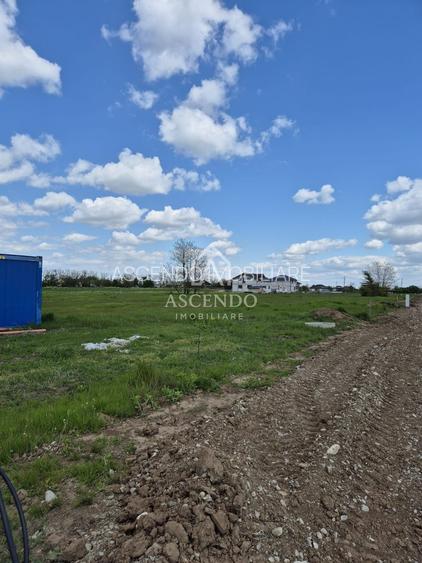 Teren intravilan 704 mp – Siliștea Snagovului | Lângă Pădurea Snagov - 5