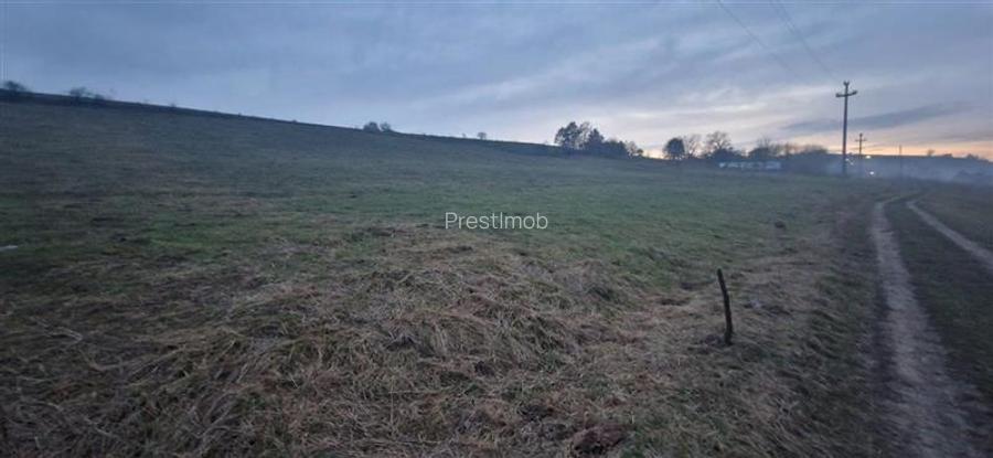 De vanzare teren 1,2 Ha in Laureni - 4