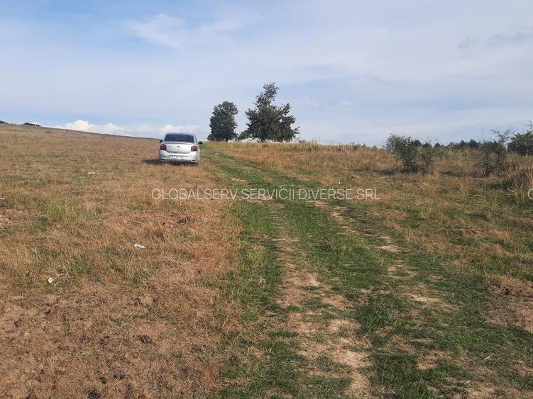 FARA COMISIOANE TEREN parcelabil 10756mp linga padure Comuna Dumbravita Brasov - 6