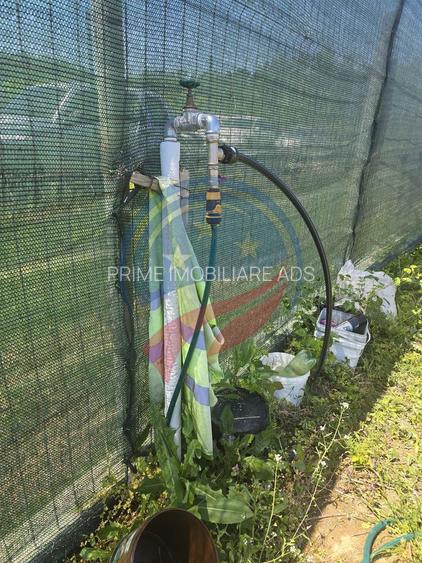 TEREN BREASTA DUPA POD 827 mp - 6