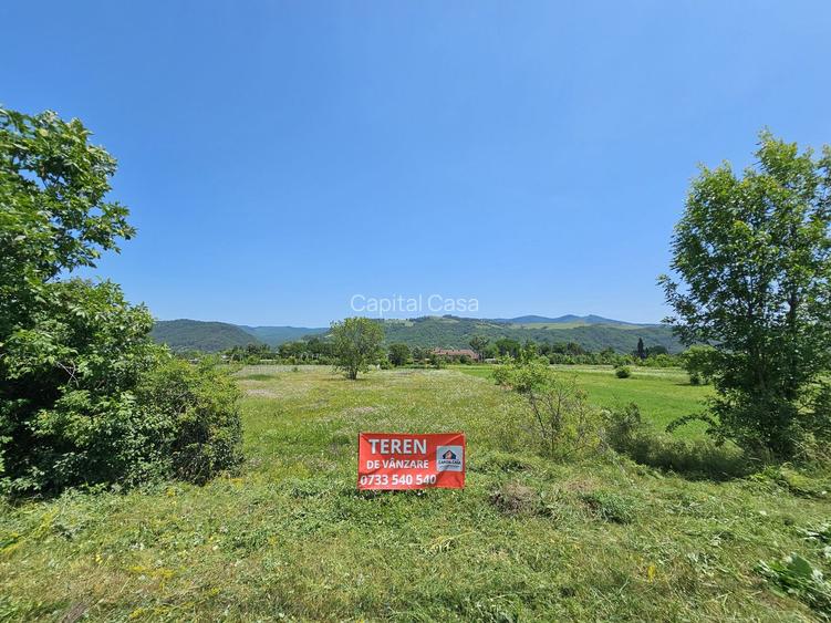 Teren de Vanzare in Darmanesti, Stradal, langa Fregata - 4