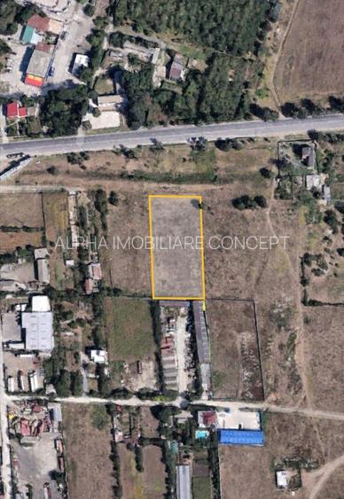 Autostrada A4 - Vaporas teren intravilan 5000 mp deschidere 50 m - 6