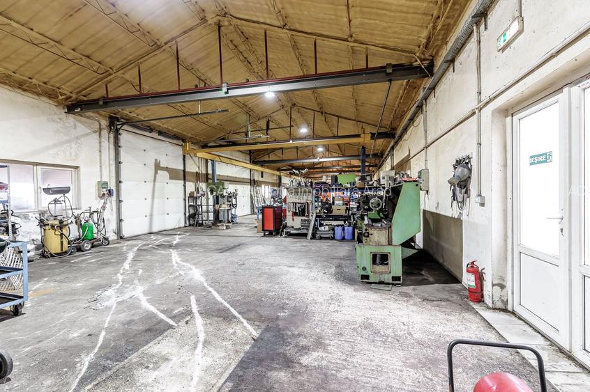 Hale depozitare/producție 2.000 mp si 10.000 mp teren în Pecica - 12