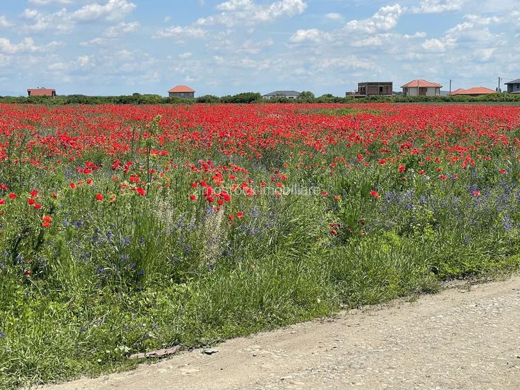 Teren Remetea Mare 720mp -2 fronturi I - 2