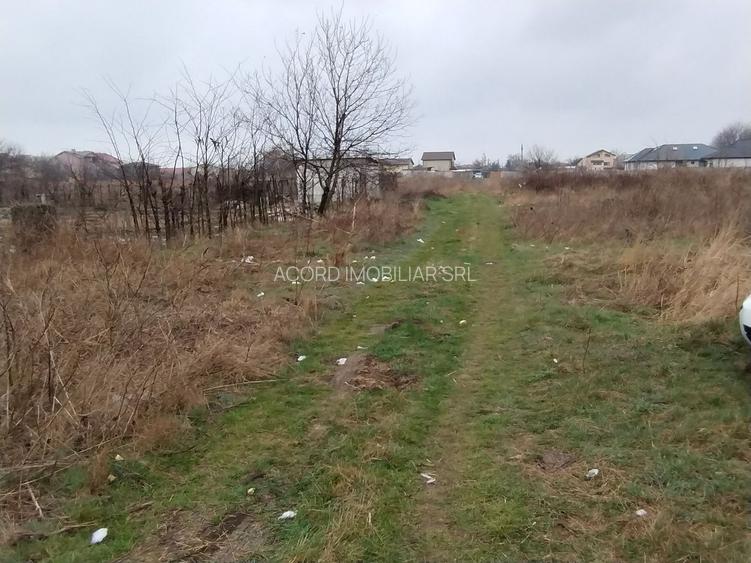 Teren investiție Km 5- Vila Cucoanei - 5