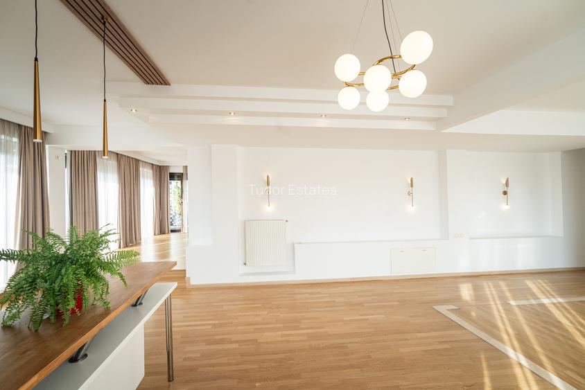 Exquisite Penthouse for Rent – Herastrau Area - 14