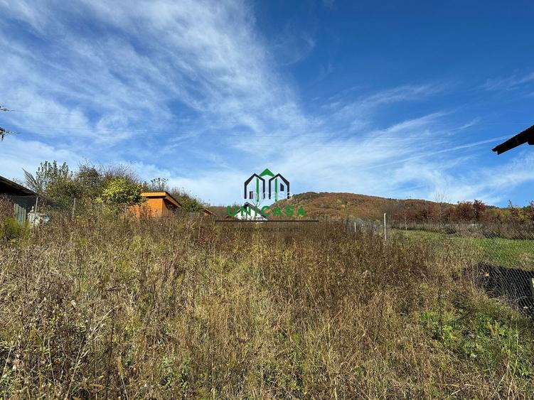 Teren intravilan - 1020 mp - Vladesti Priporu - 4