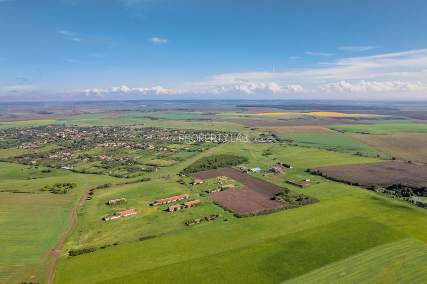 Teren de 69188 mp în Seceani - 4