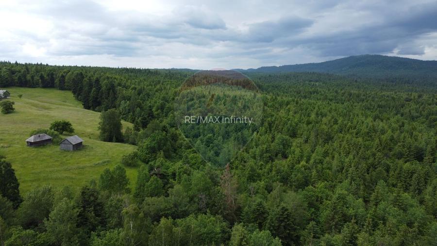 Teren de vanzare 8119 mp Calatele Padure.Muntii Apuseni - 4