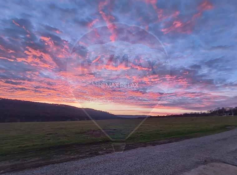 Casă / Vilă cu 5 camere de vânzare - 13