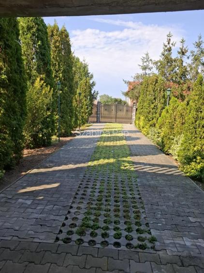 Se vinde casă + teren generos în comuna Acîș (aprox. 38 km de Satu Mare) - 6