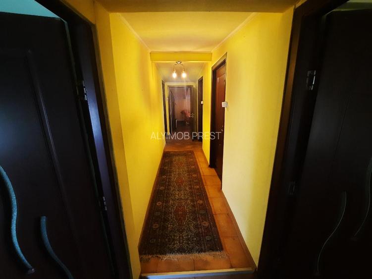 VANZARE CASA SOS. ALEXANDRIEI VISAVIS DE PENITENCIARUL RAHOVA - 6