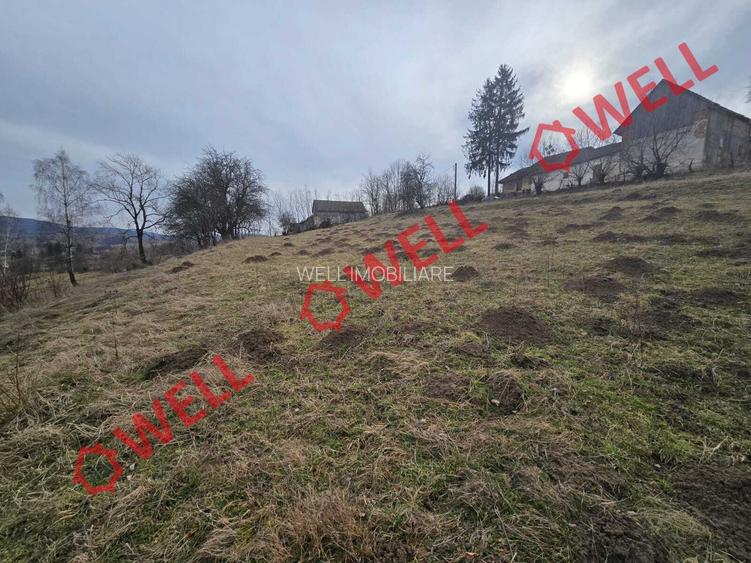 Teren extravilan de vânzare în Sărămaș, pe punctul de numit ,,PARAIE,, - 5