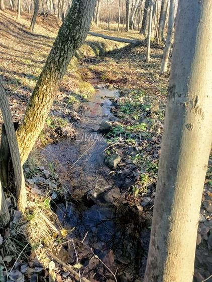 Vânzare casa la munte - zona turistica - Baia de Fier - 28