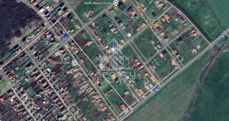 Parcela 1000 mp, de vanzare,  case noi, Peciu Nou, Jud. Timis - 3