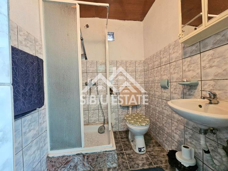 Casa Sibiu la Nucet teren 2317mp - 9