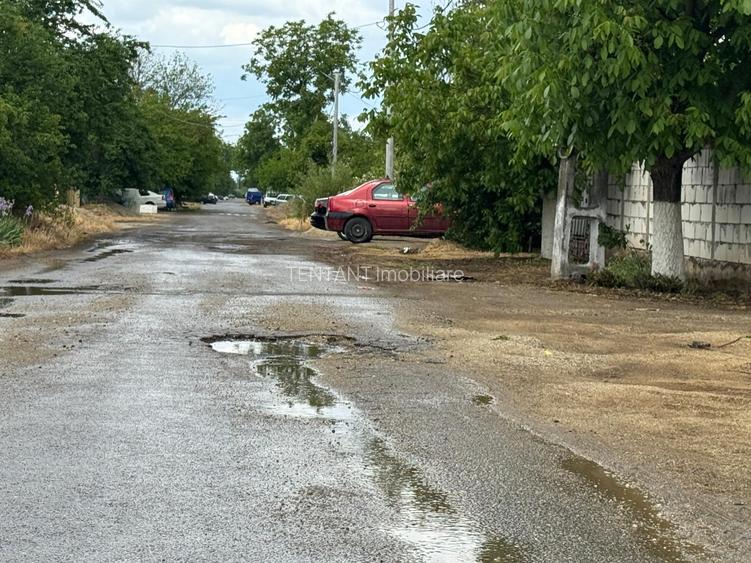 Vanzare Teren  intravilan 8000mp Adunati Copaceni Giurgiu - 13
