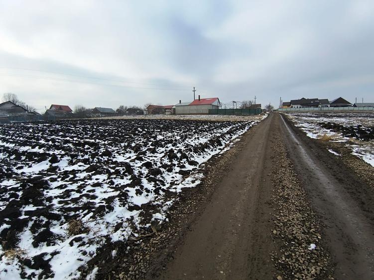 Teren 991 MP | Moara Nica | 22 ml Deschidere | Utilități | 38.000 € - 5