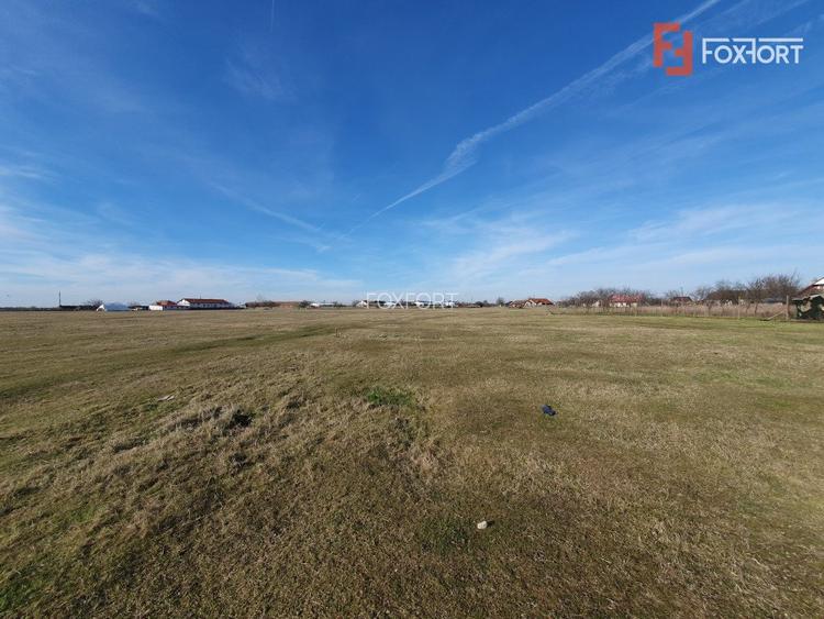 COMISION 0% Teren intravilan 6400 mp la drum asfaltat - Padureni - 18