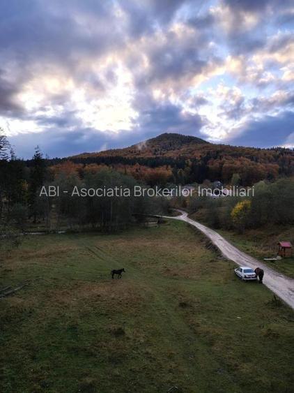 Oportunitate de investiție în stațiunea Cheia - 10