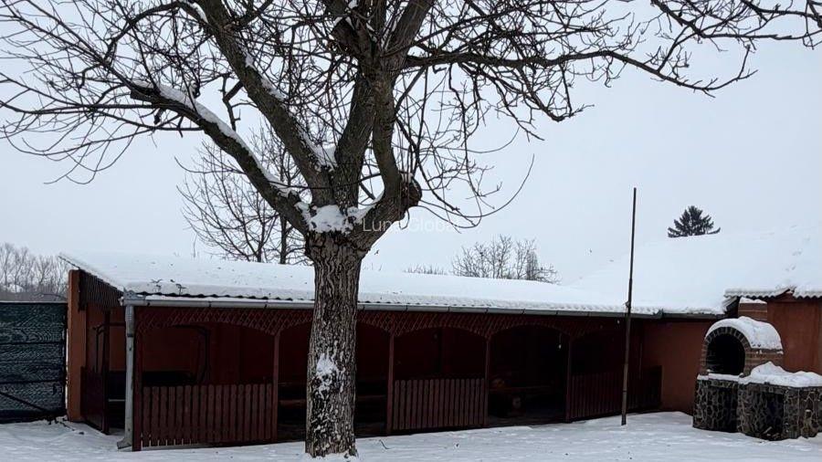 Casă + sediu firmă – investitie in Diosig cu teren generos - 5